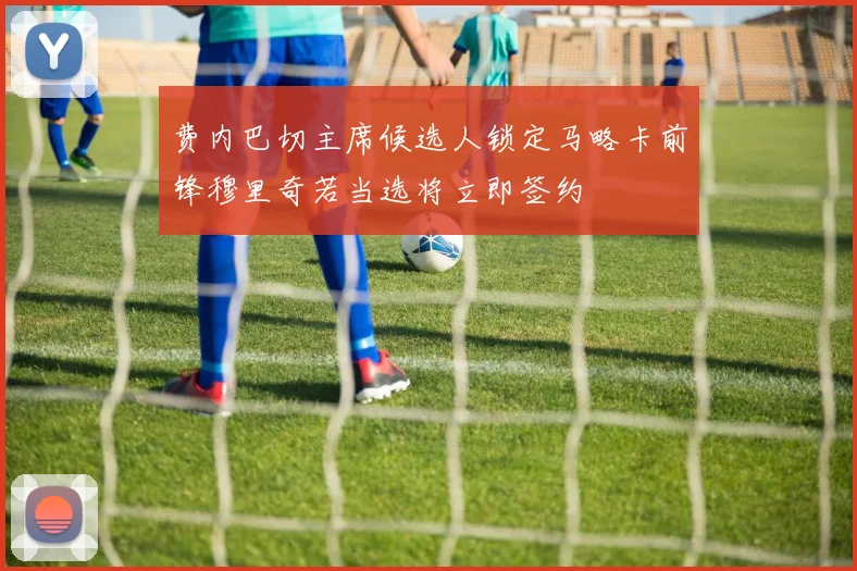 费内巴切主席候选人锁定马略卡前锋穆里奇若当选将立即签约